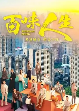 台湾剧集有生之年海报